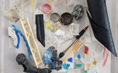 Plastic Pollution